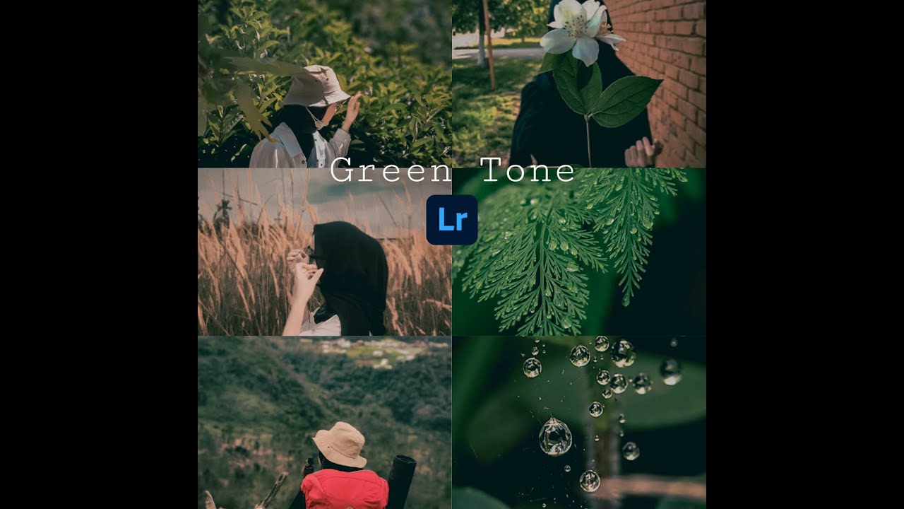 TUTORIAL LIGHTROOM GREEN TONE PRESET LIGHTROOM FREE DNG DAN XMP