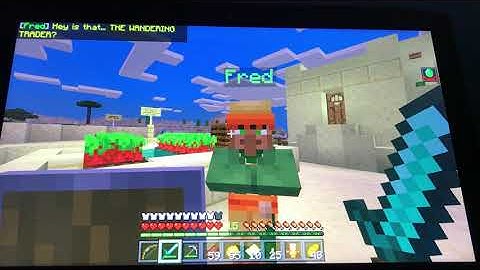 MINECRAFT:the traveling trader:Proligue