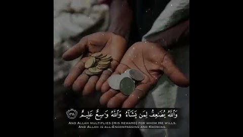 قرآن كريم بصوت محمد اللحيدان ⚡🔊 أجمل حالات واتس اب دينية مقاطع دينية قصيرة مقاطع انستقرام دينية