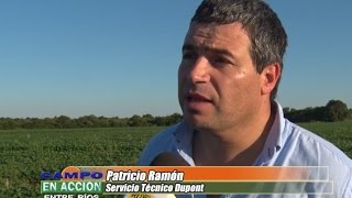 Patricio Ramón - Desafío Amaranthus 2016 – Curtiembre – Entre Ríos