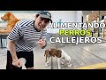 Alimentando VAGUITOS Callejeros