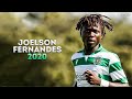 Joelson Fernandes 2020 - Dribbling Skills, Assists &amp; Goals | HD