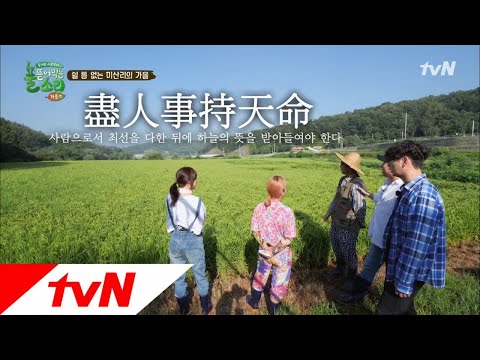 중딩농부 태웅이, 쓰러진 벼에도 '진인사대천명 이에유~' 풀 뜯어먹는 소리-가을편 1화