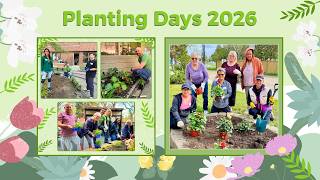 #PlantingDays2026 brought volunteers, staff, & #seniors together to refresh GEF gardens for summer.