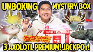 UNBOXING MYSTERYBOX 3 EKOR AXOLOTL PREMIUM! DAPET JACKPOT NAGA AIR SEHARGA RP 4JUTA! LIGHTFURY ASLI!