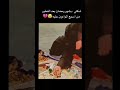 امل اشفيج اصحي رمضان كريم واتباد 