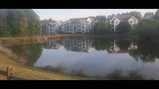 Why We Left Part 106 - Sysbm