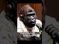 podcast with kangaroo must watch #shorts #viral #trending #animals
