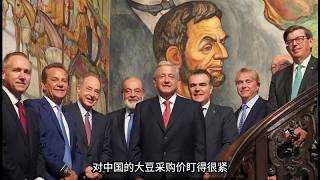 中巴深夜密谈!新能源博弈细节首度公開