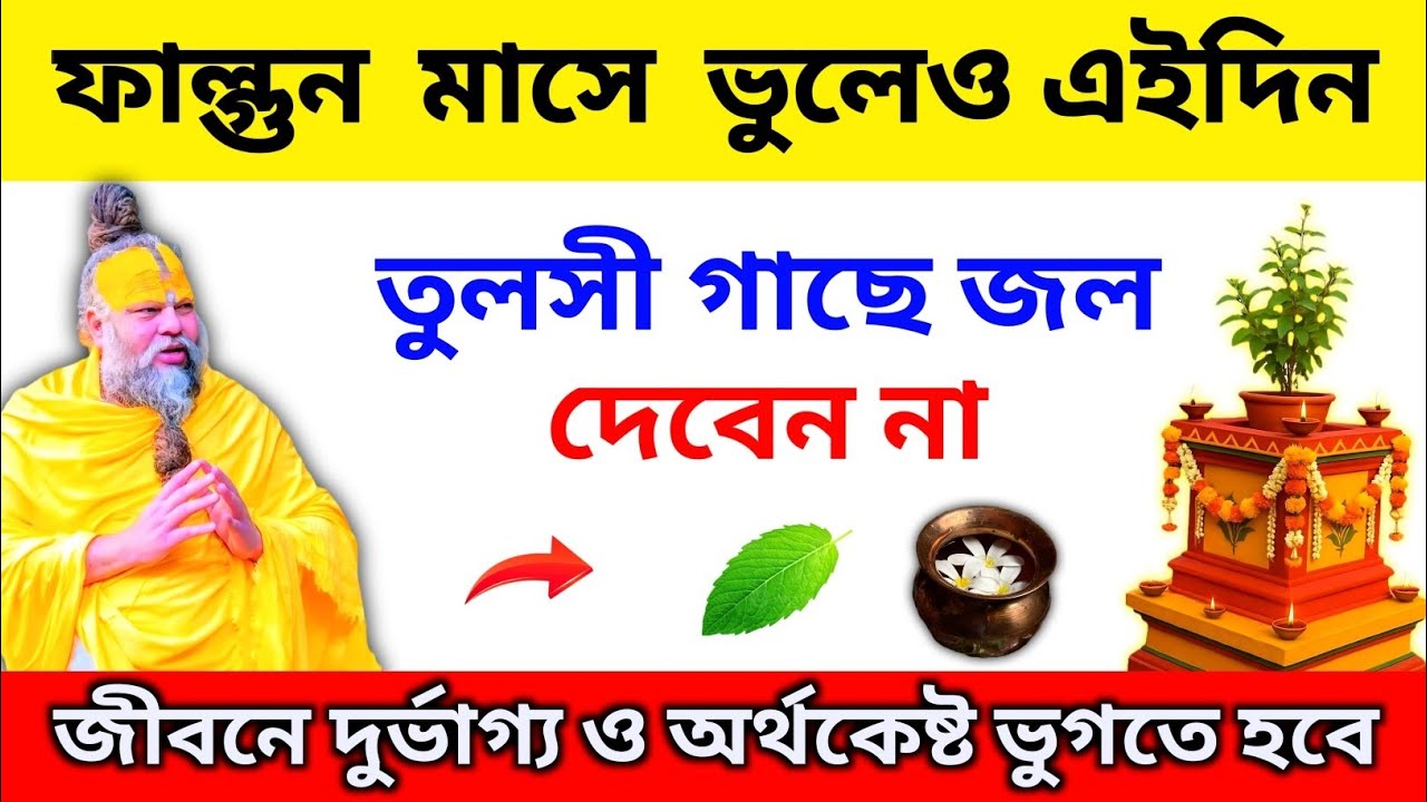 ফাল্গুন মাসে ভুলেও এই দিনে তুলসী গাছে জল দেবেন না ⚠️ বড় অমঙ্গল হতে পারে!