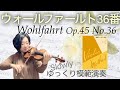 [ゆっくり]ウォールファールト36番,篠崎ヴァイオリン教本3,F.Wohlfahrt Op.45 No.36 ,slowly