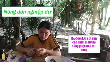 Nông dân nghiệp dư  | Hướng dẫn cắt dán con nhím màu tím bằng giấy màu thủ công