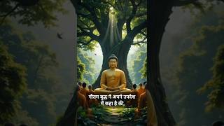 गौतम बुद्ध के उपदेश : Buddhist Motivation #buddha #77 #motivation #budhainspired