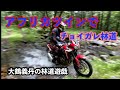 アフリカツインで、チョイガレ林道