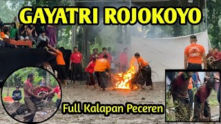 GAYATRI ROJOKOYO FULL KALAPAN PENUH PECEREN