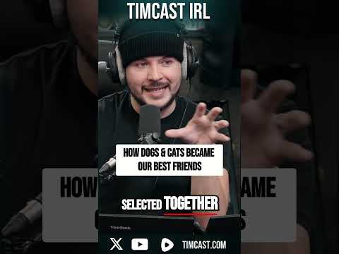 How Dogs & Cats Became Our BEST Friends