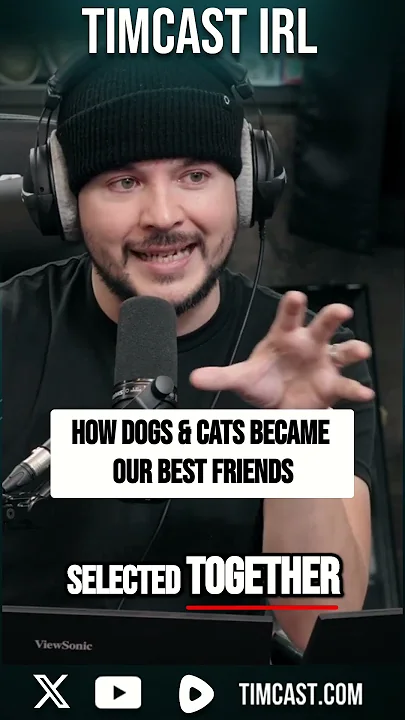 How Dogs & Cats Became Our BEST Friends