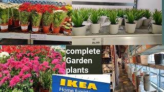 IKEA Hyderabad tour for plants