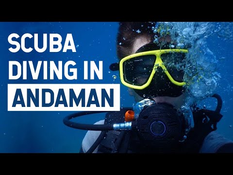Scuba Diving in Havelock Island - Andaman Nicobar -  ZABARDAST EXPERIENCE - FULL VIDEO
