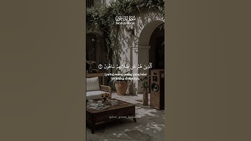 القران الكريم راحة النفسية #audio #اكسبلور #المصحف #capcut #duet #الرحمن #cat #دويتو #القزابري