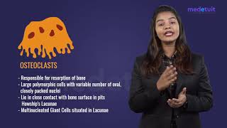 Osteoclasts