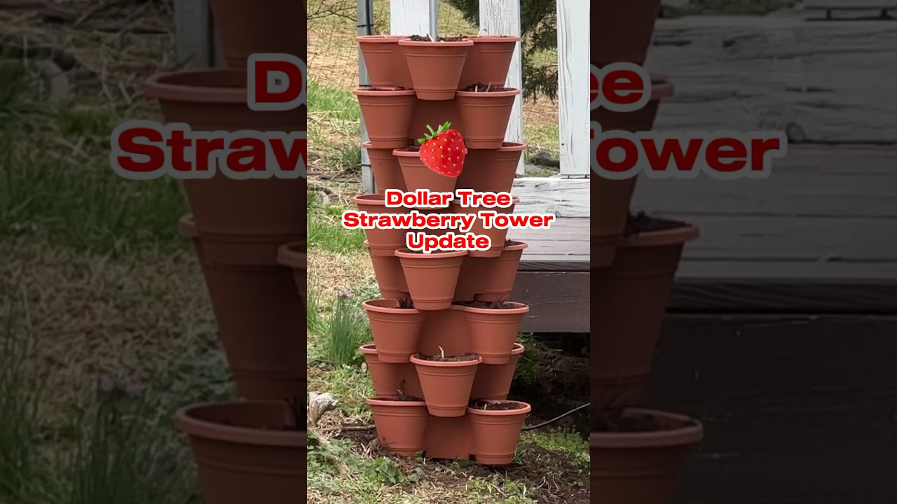 Before & After: DIY Dollar Tree Strawberry Tower 