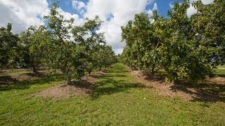 22201 SW 272nd St video tour