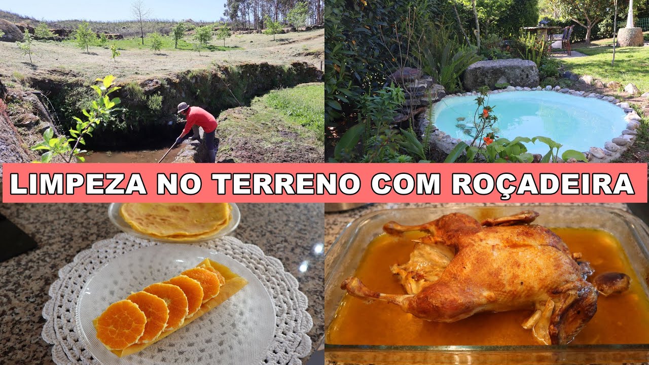 ARROZ DE PATO-LIMPEZA NO POÇO-VIDA SIMPLES NO CAMPO