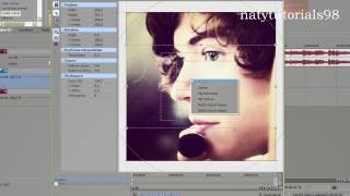 sony vegas effect #4 (easy)