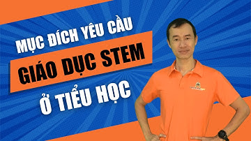 Mục đích yêu cầu giáo dục STEM trong giáo dục tiểu học| Bùi Duy Phương