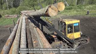 Погрузка леса ДТ 75, вывозка КАМАЗ.
