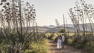 Resumen Reportaje Videografico Bodas