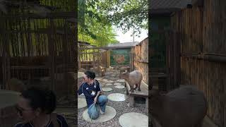 Can you repeat the name, please? #viral #viralvideo