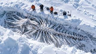 10 Terrifying Arctic Mysteries That Still Can't Be Explained