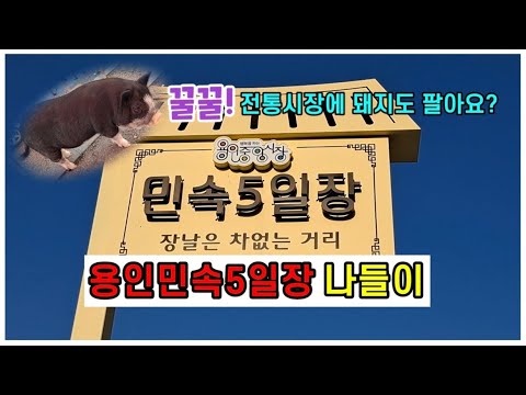 전통시장ㅣ용인 민속5일장ㅣ도래창 구이ㅣ순대골목 [73]