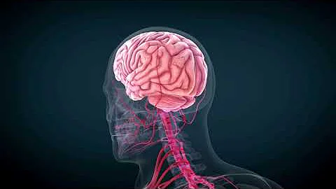 Human nervous system stock footage#stockvideo #copyrightfree #free