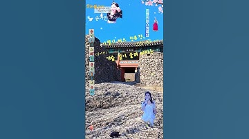 Thumbnail of 송가인~이별의버스정류장🌱가슴 깊이 울려 퍼지는 그리움의 노래. 가수의 애절한 음색이 감정을 울리고, 팬들의 열정이 함께 울려 퍼지는 순간~🌷#웃는물고기~(광고×,후원○)꿈의 여행