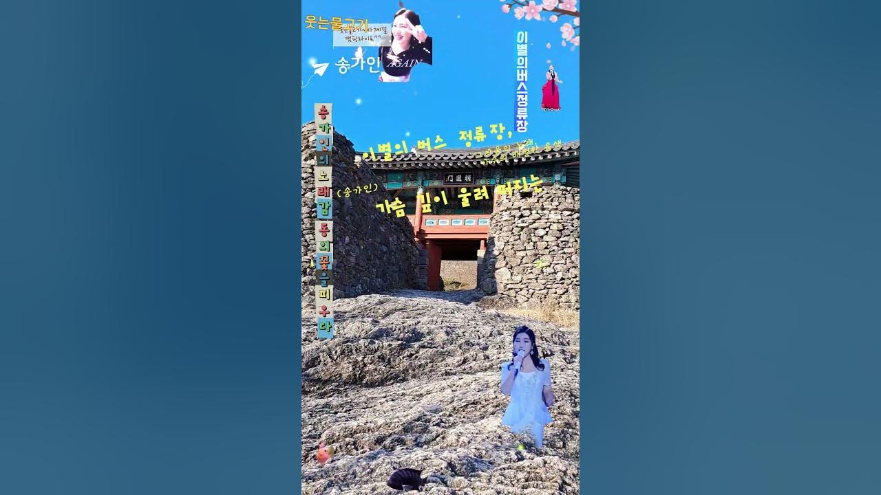 송가인~이별의버스정류장🌱가슴 깊이 울려 퍼지는 그리움의 노래. 가수의 애절한 음색이 감정을 울리고, 팬들의 열정이 함께 울려 퍼지는 순간~🌷#웃는물고기~(광고×,후원○)꿈의 여행