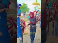 funny jockey