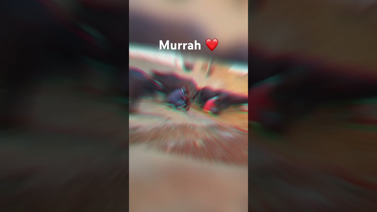 Himmat Dairy Farm ✨ { Contact No. 9813117054 } 