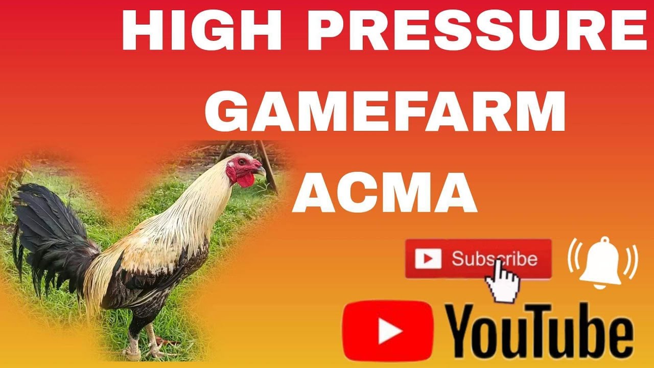 ANG ATING FARM YouTube