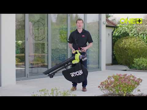 Ryobi Leaf Blower and Vacuum 
