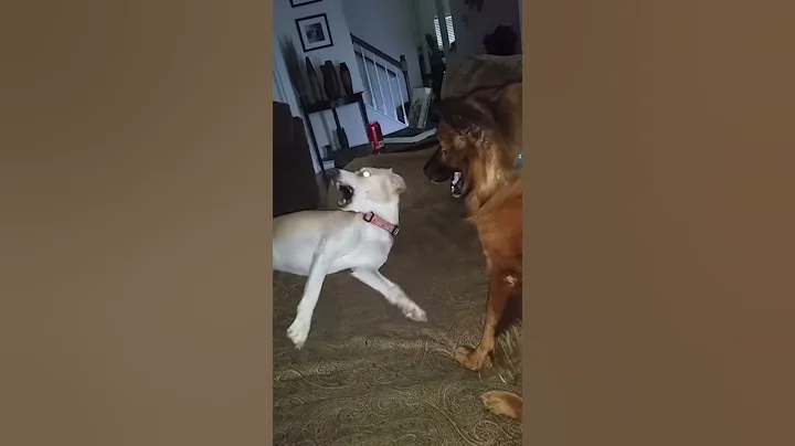 Playtime