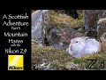 A Scottish Adventure, Part 3. Mountain Hare with the Nikon Z9