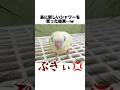 鳥用シャワーをプレゼントしたら予想外の反応だったwww【サザナミインコ】 #shorts