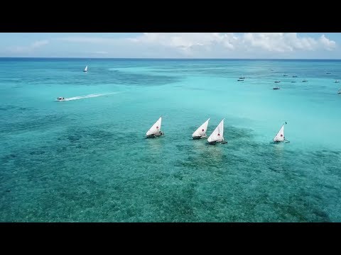Kraken Cup - Physically and Mentally Challenging