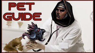 Pets and You | Darkest Dungeon 2 Guide