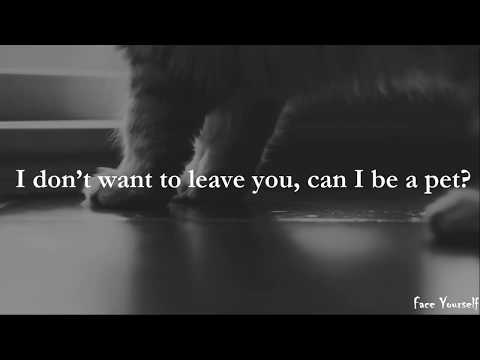 Cat & Dog English Lyrics Txt - Cat and Dog Lovers