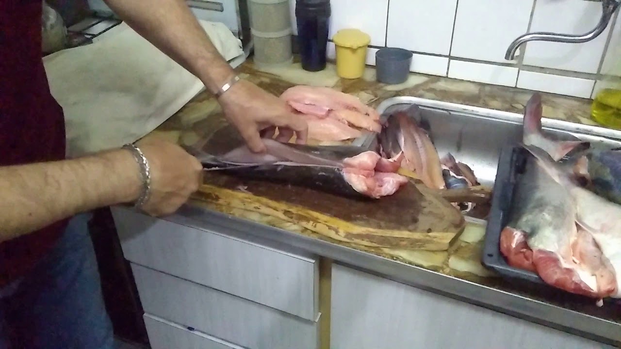 COMO FILETEAR BAGRES DE MAR. PREPARANDO PARA HACERLOS FRITOS. #fritanga  PESCA Y COCINA