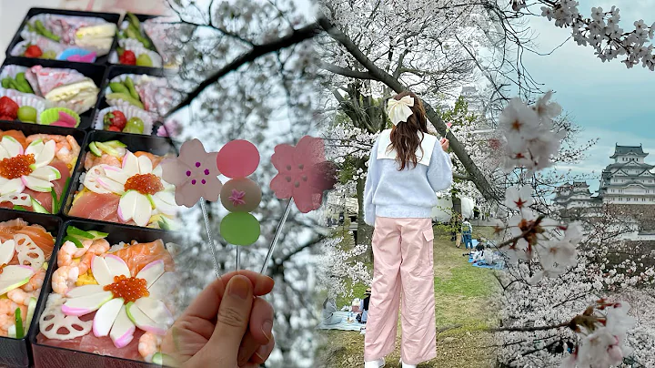 Hanami Bento | Cherry Blossom Viewing @ Himeji Castle Park| Picnic Under Sakura Tree|Japanese Sweets - DayDayNews